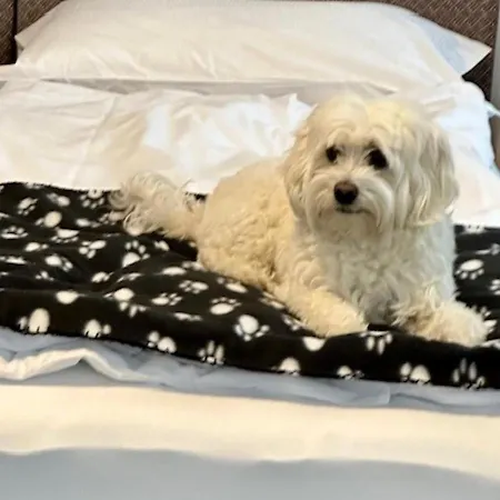 Aquazzurra & Cannobio